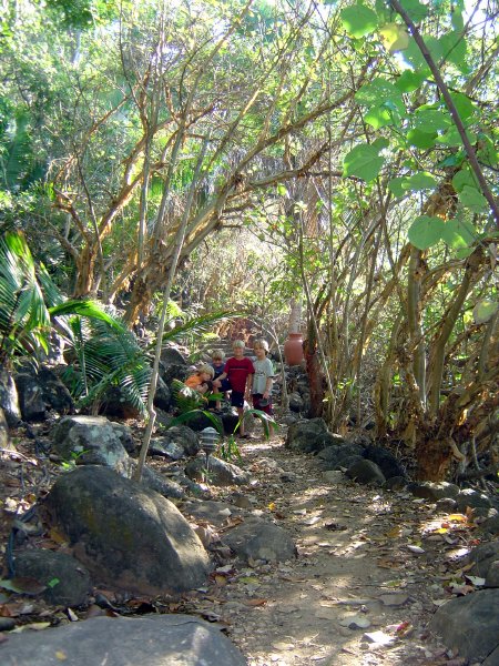 Boys on a jungle hike